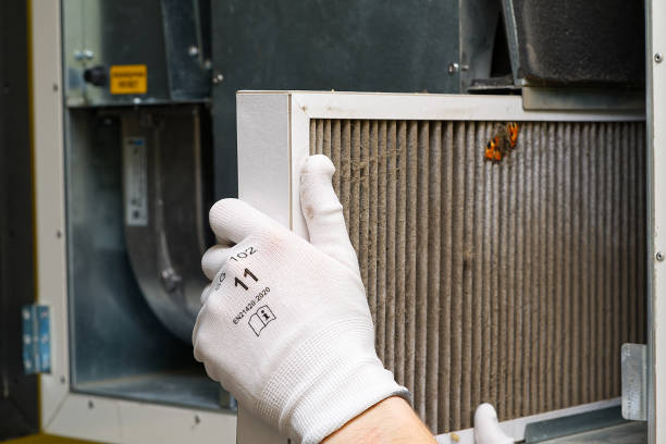Best Air Duct Cleaning Near Me  in Emmon, AK